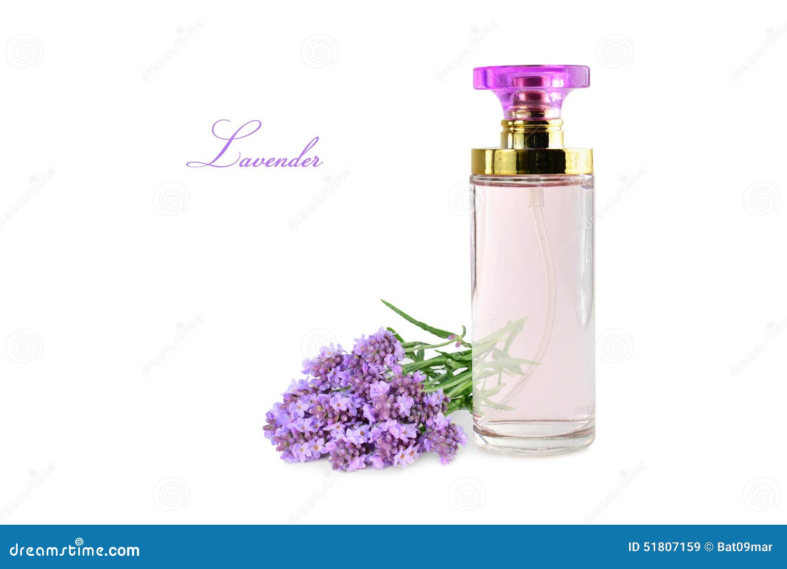 Perfume Bottle with Lavender Stock Image Image of liquid, luxury
