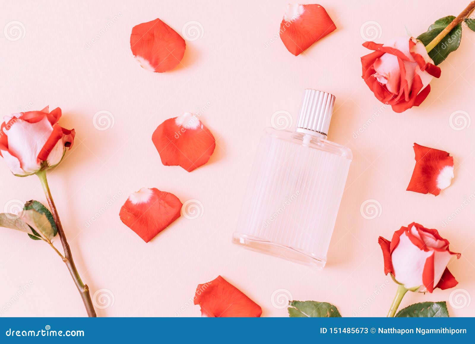 Perfume Bottle with Rose Petal Stock Image Image of cosmetic, flower