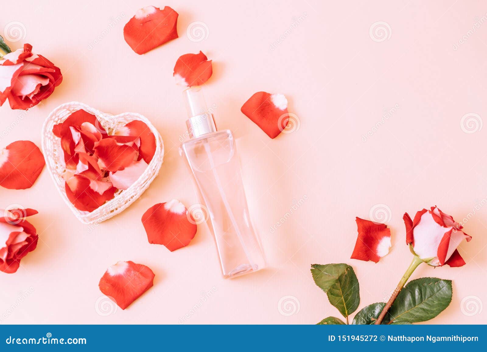 Perfume Bottle with Rose Petal Stock Photo Image of essential, glass