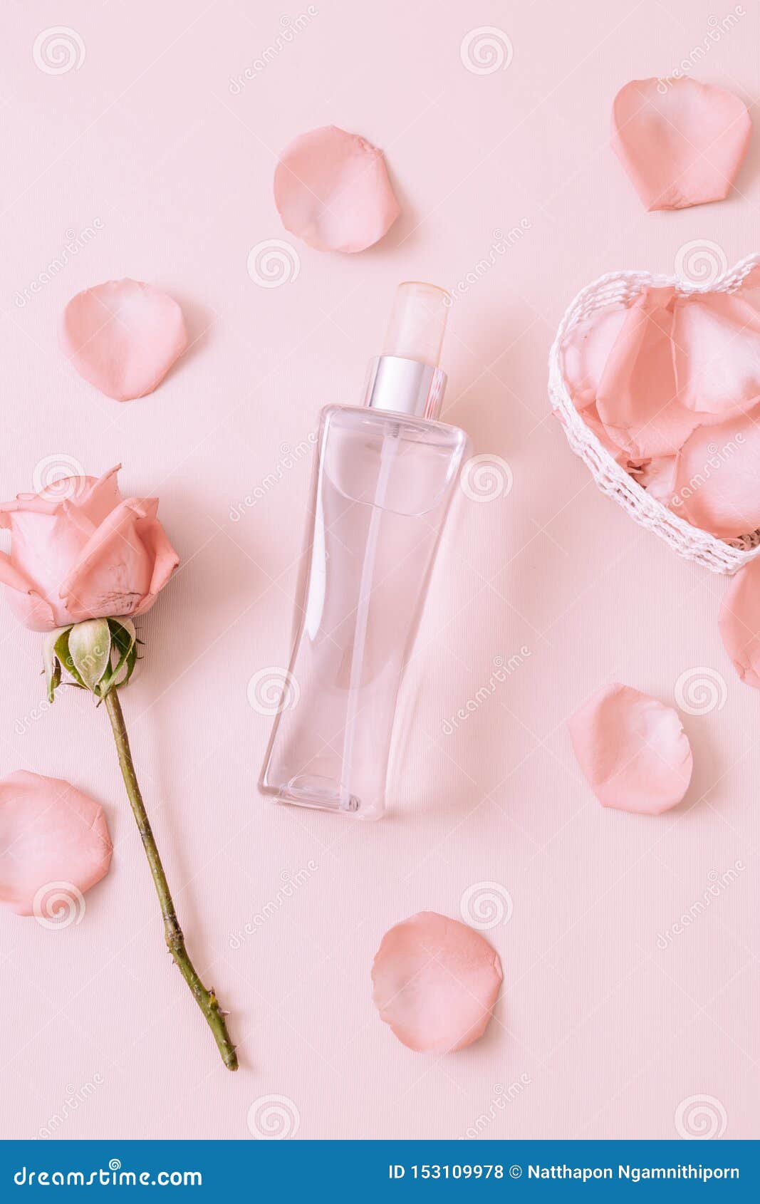 Perfume Bottle with Rose Petal Stock Photo Image of essence, aroma