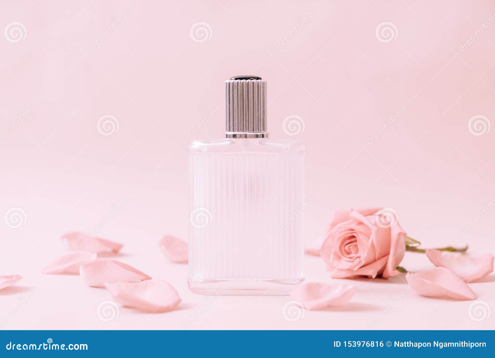 Perfume Bottle with Rose Petal Stock Photo Image of organic