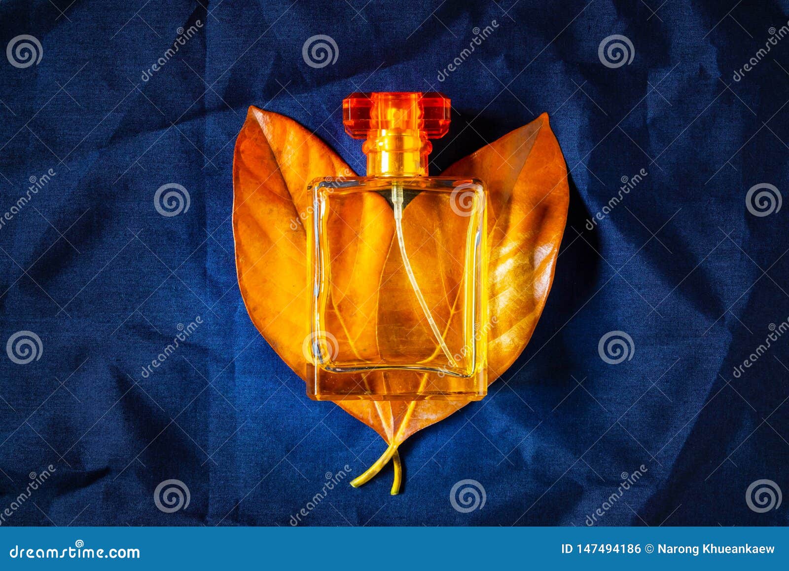 Dark Blue Modern Perfume Bottles Stock Photos - Free & Royalty-Free