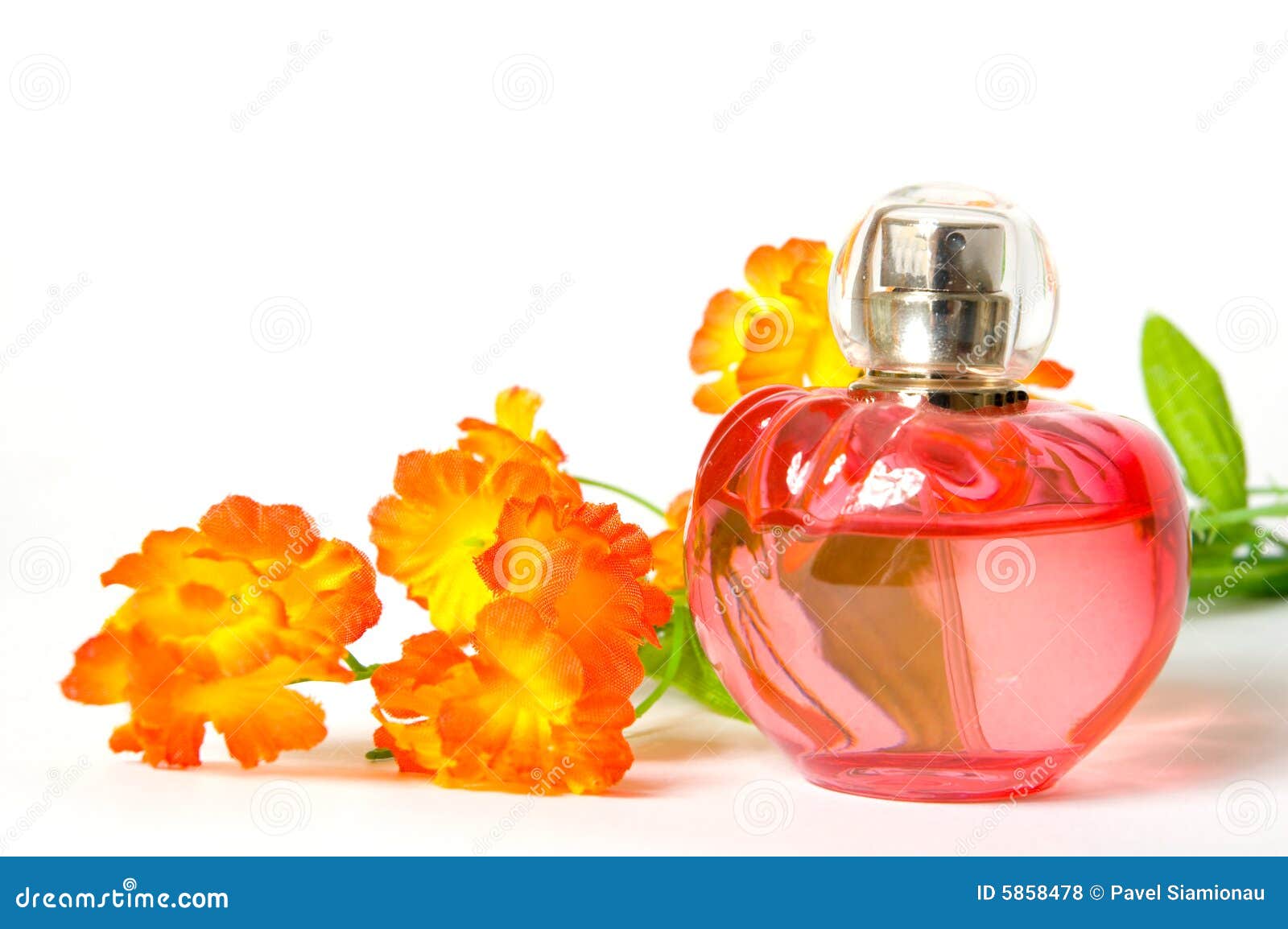 Perfume and Flower Isolated Stock Photo Image of luxury, flower 5858478