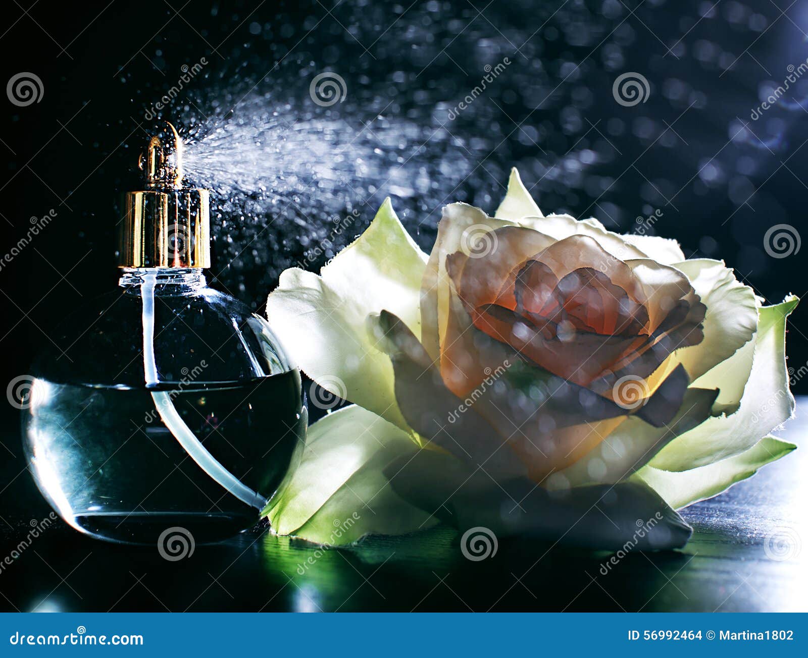 Perfume and flowers stock photo. Image of fragrance, fashion 56992464