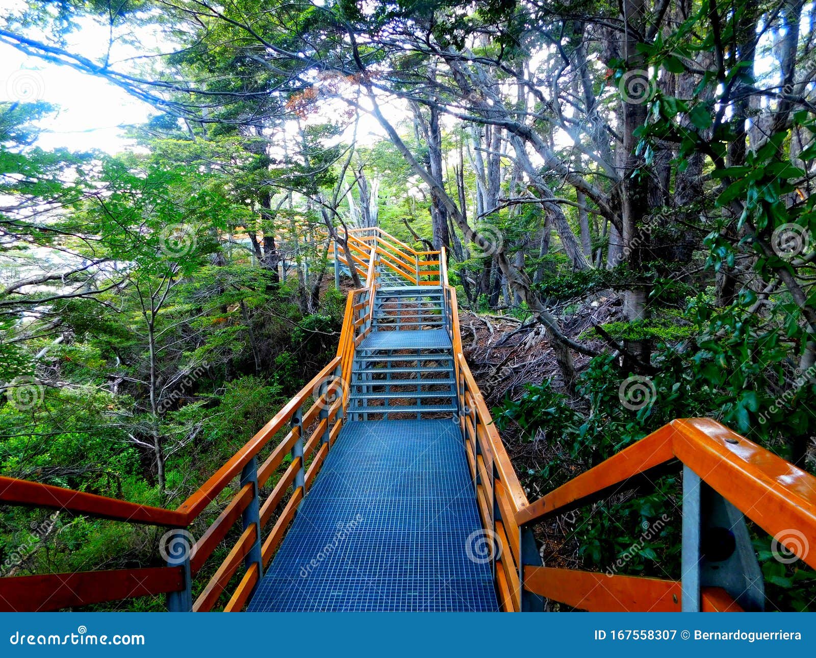 perito moreno glacier, footbridge that crosses the national park