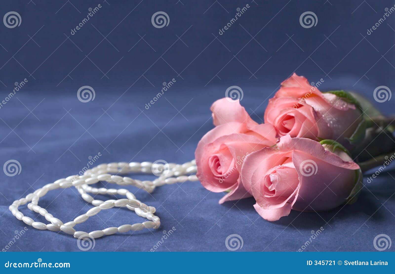 Perle e rose. Rose e perle dentellare su priorità bassa vellutata grigia