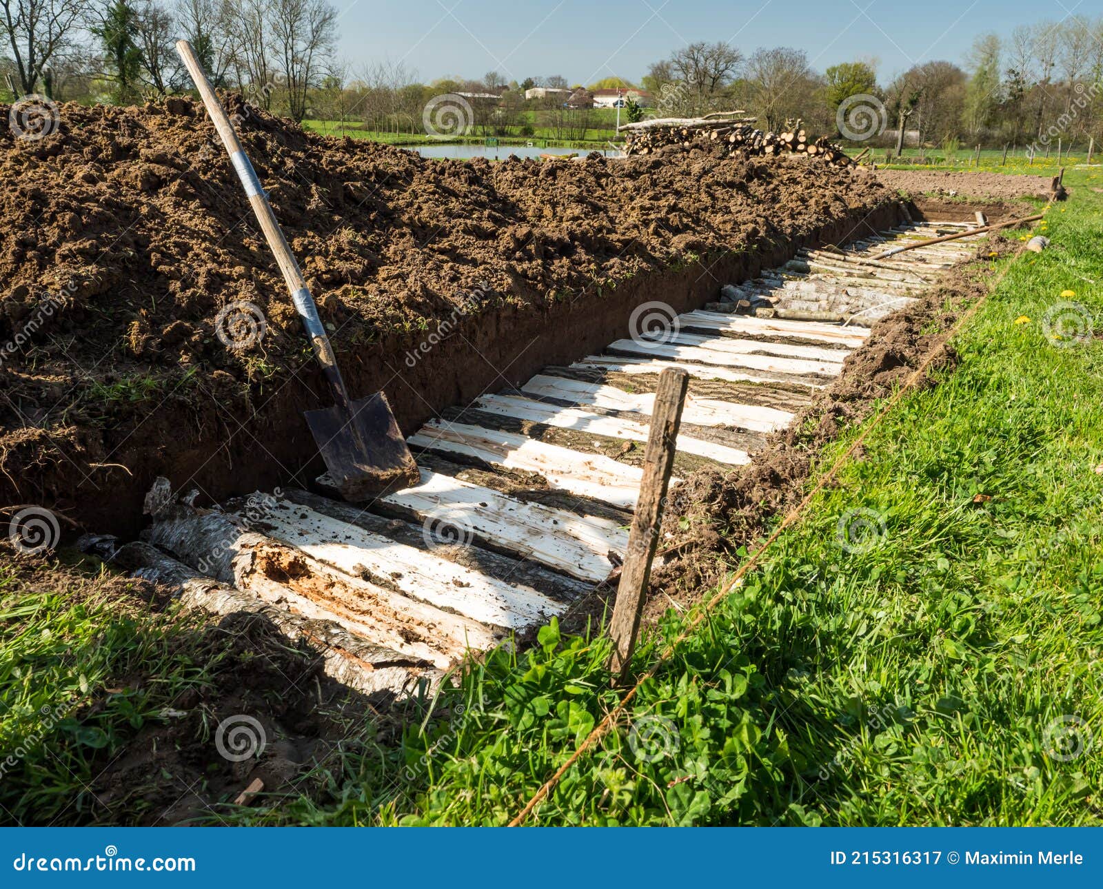 permaculture trench construction with half long logs of wood