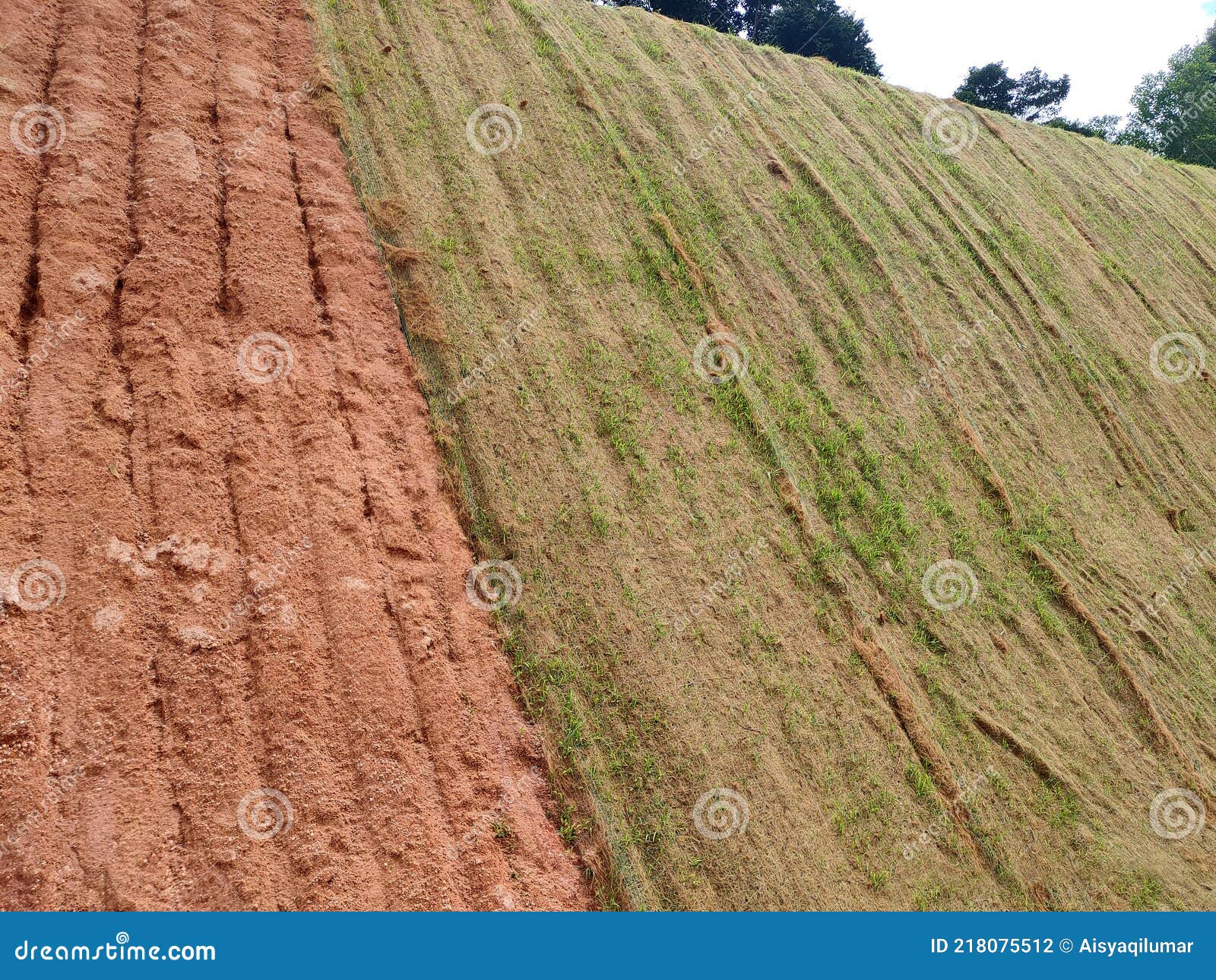 Permanent Slope Protection Using the Close Turfing Method To Prevent