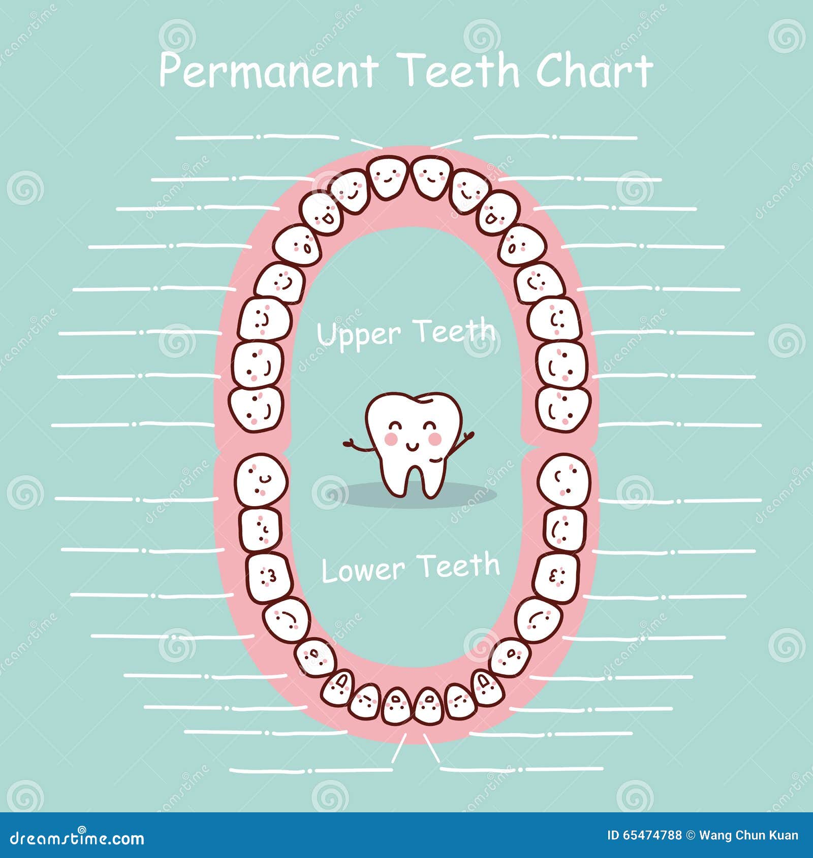 Permanent Tooth Chart Record Stock Vector - Illustration of medicine