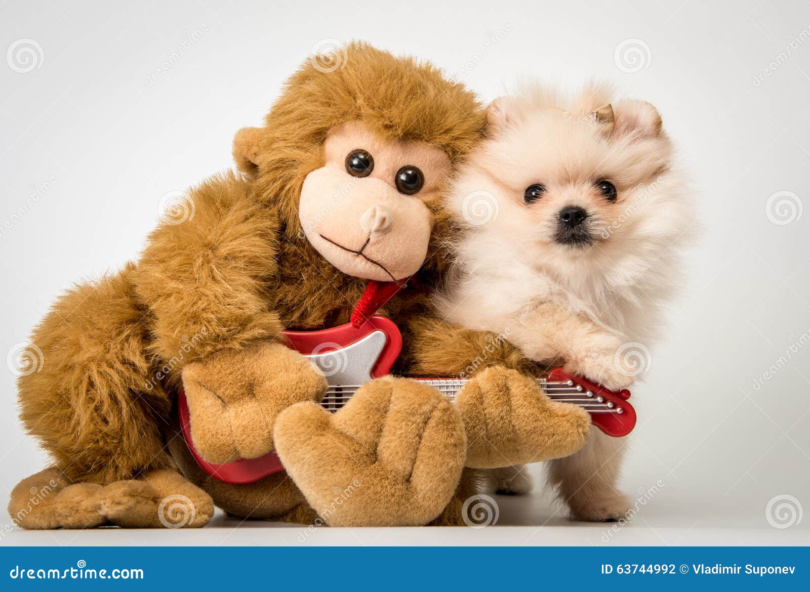 Droll Juguetes Para Perros Pomerania