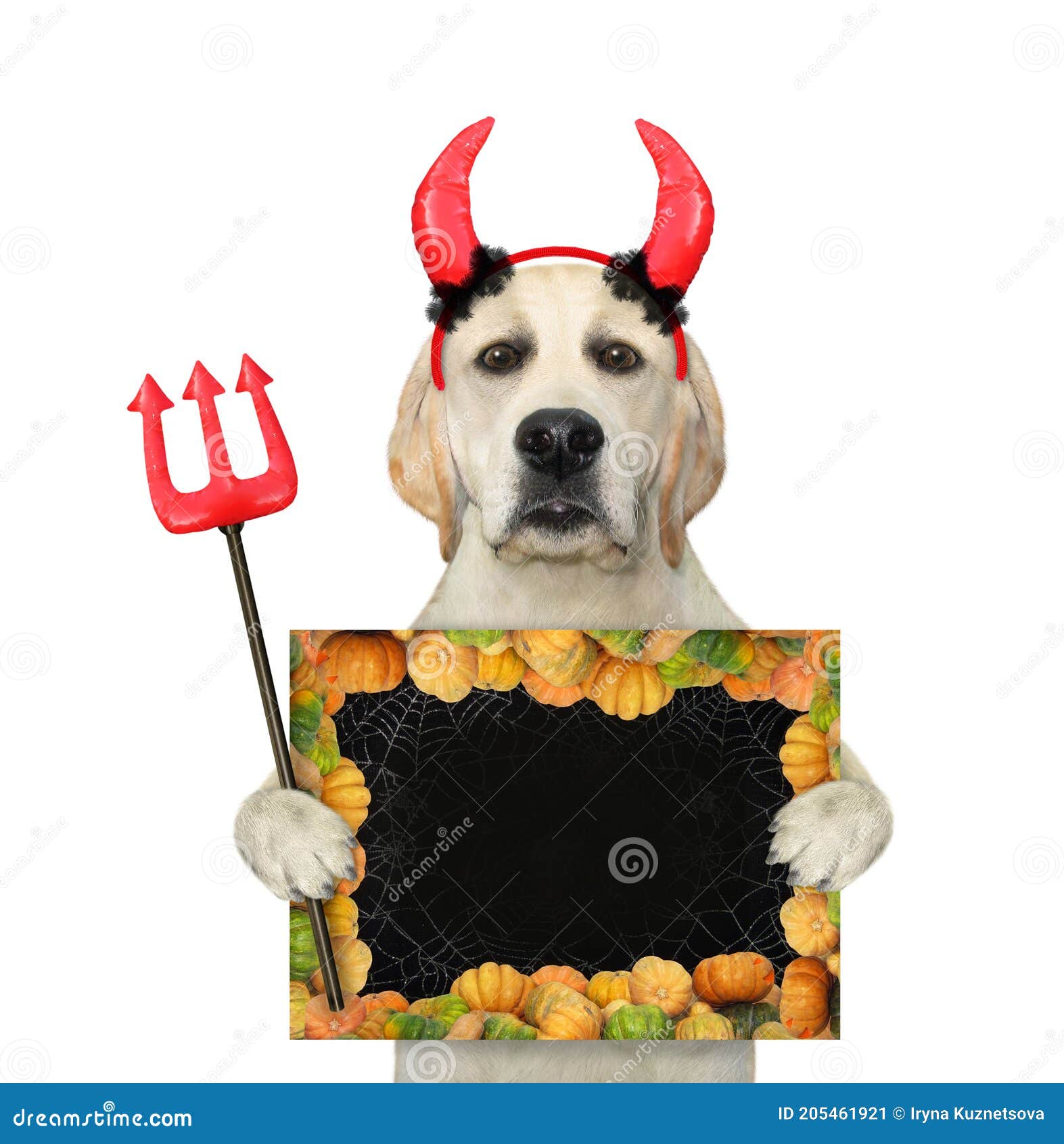 constructor Normalización alimentar Perro Con Cuernos Rojos Sostiene Signo En Blanco Imagen de archivo - Imagen  de primer, diablo: 205461921