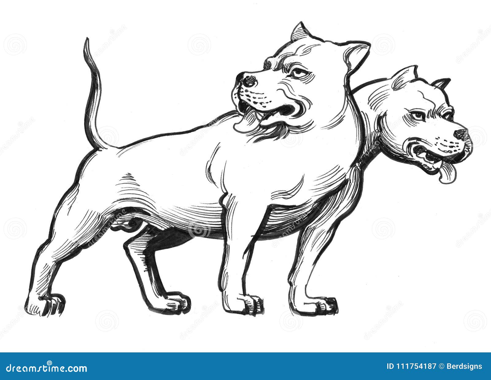 Perro con dos cabezas stock de ilustración. Ilustración de pistas