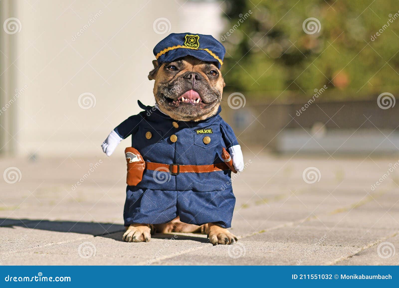 Perro De Bulldog Francés Gracioso Usando Disfraz De Oficial De Policía Con Falsas Foto de archivo - Imagen de jadeo, pantalones: 211551032