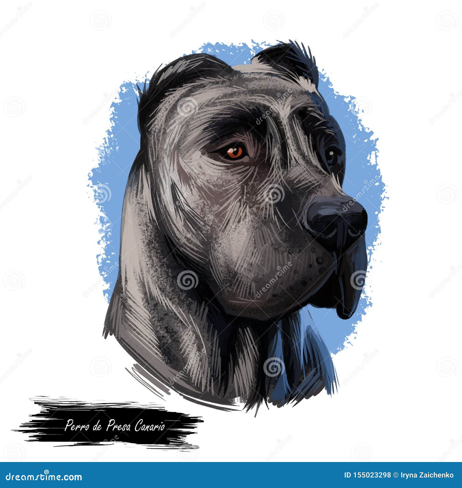 perro de presa canario dog portrait  on white. digital art  web, t-shirt print and puppy cover , clipart