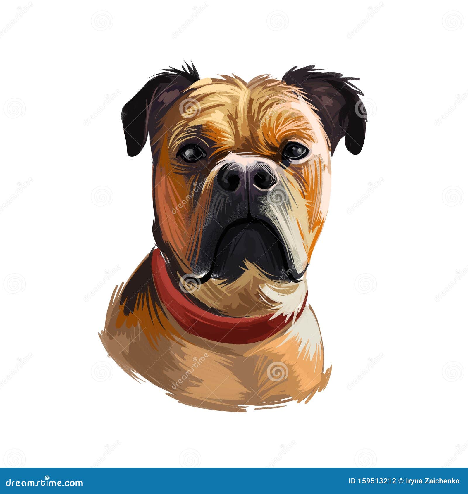 perro de presa mallorquin dog portrait . digital t-shirt print and puppy cover , clipart. mallorquin mastiff, perro