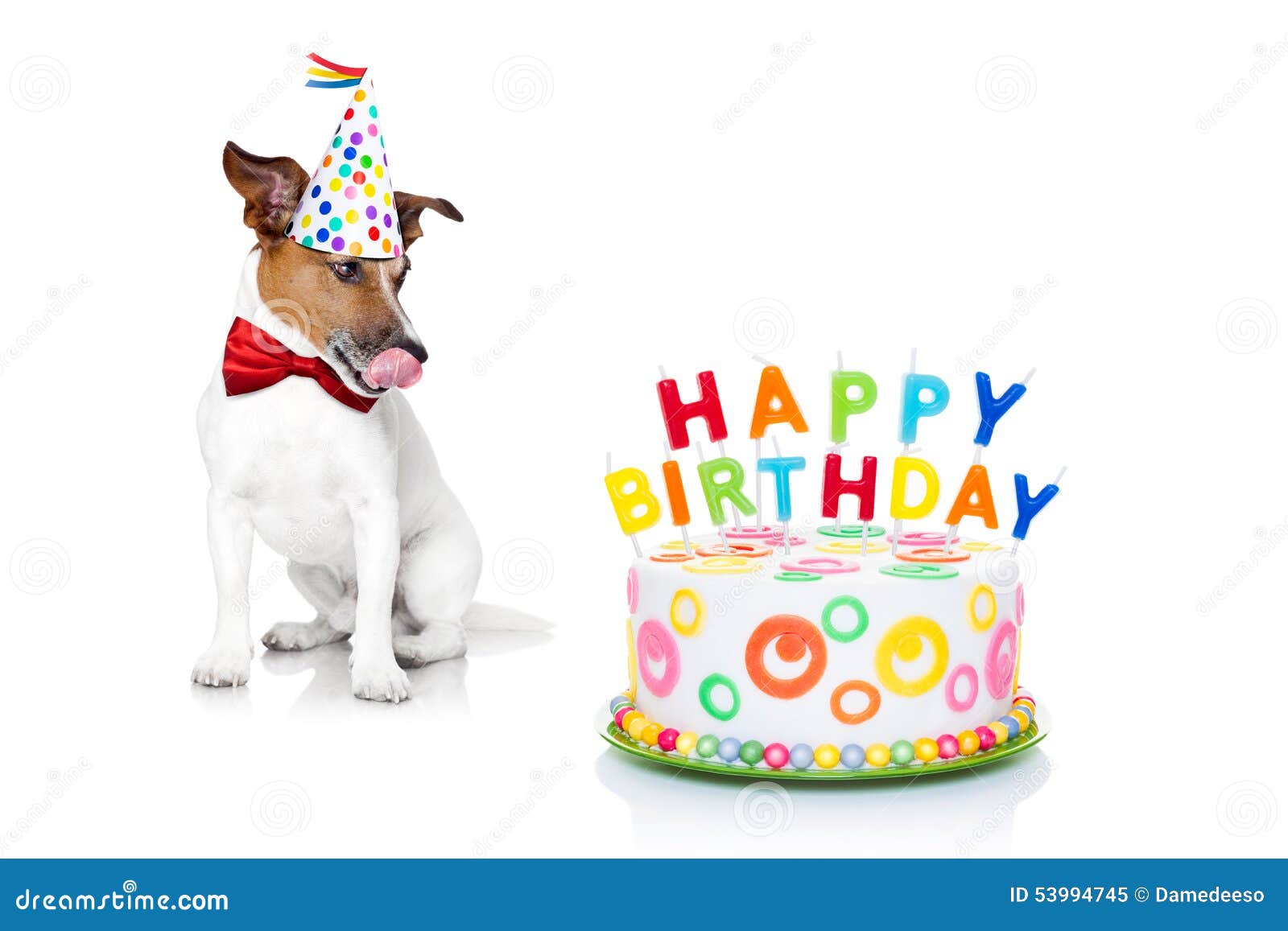 Feliz cumpleaños, perro imagen de archivo. Imagen de aniversario - 53994745, image size:1600x1157
