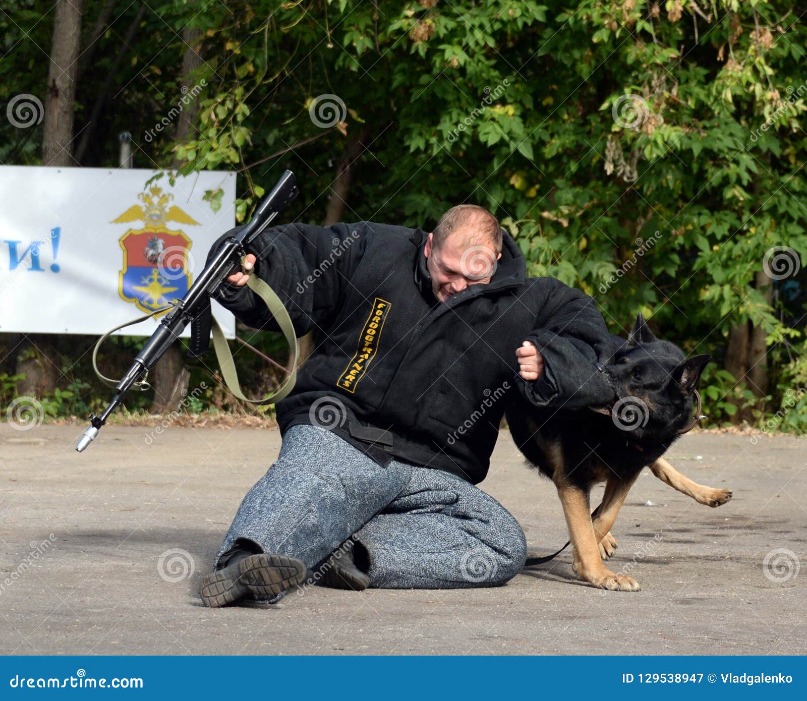 De servicio para perros entrenamiento