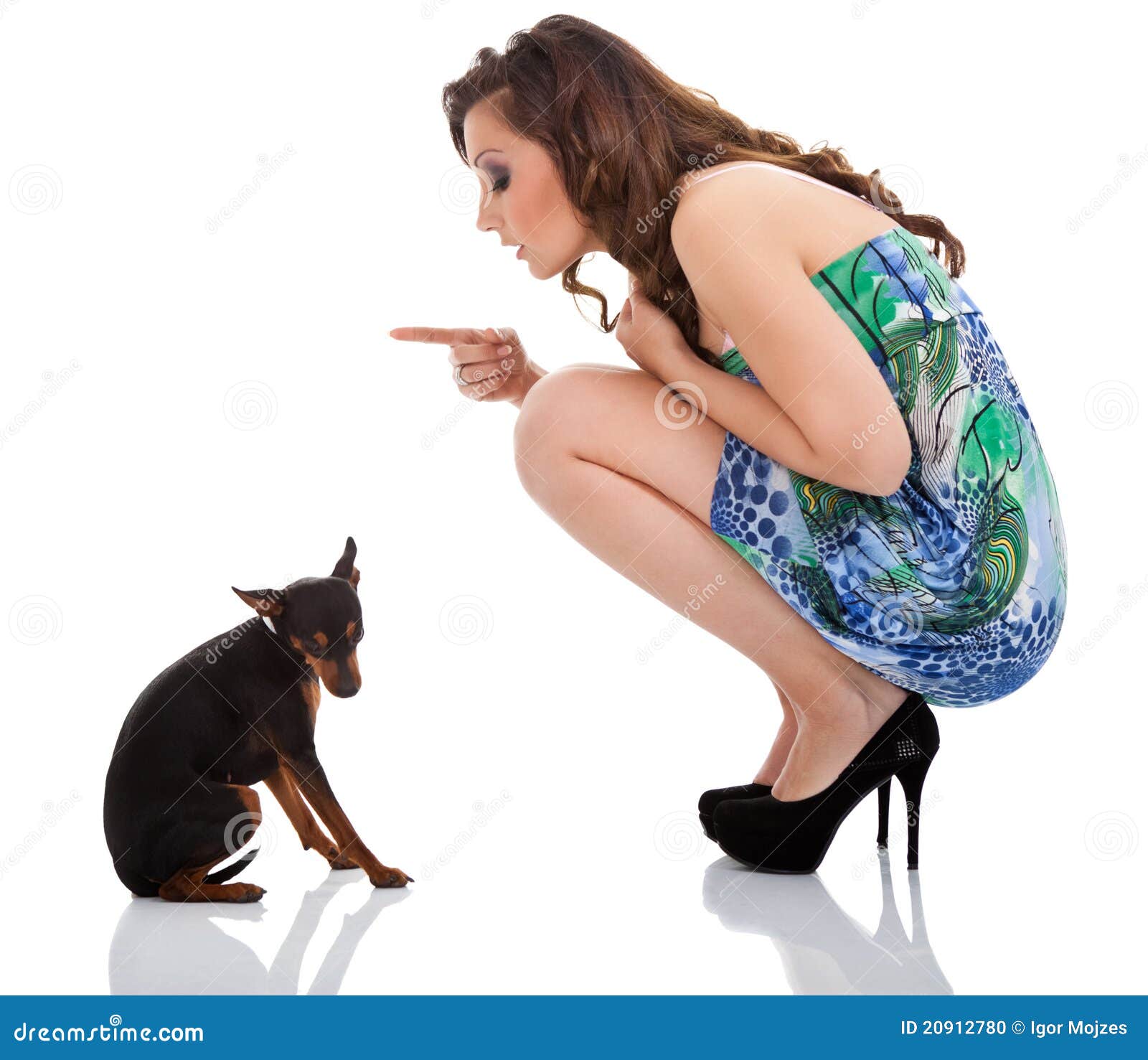 Perro desobediente foto de archivo. Imagen de amigos - 20912780, image size:1600x1477