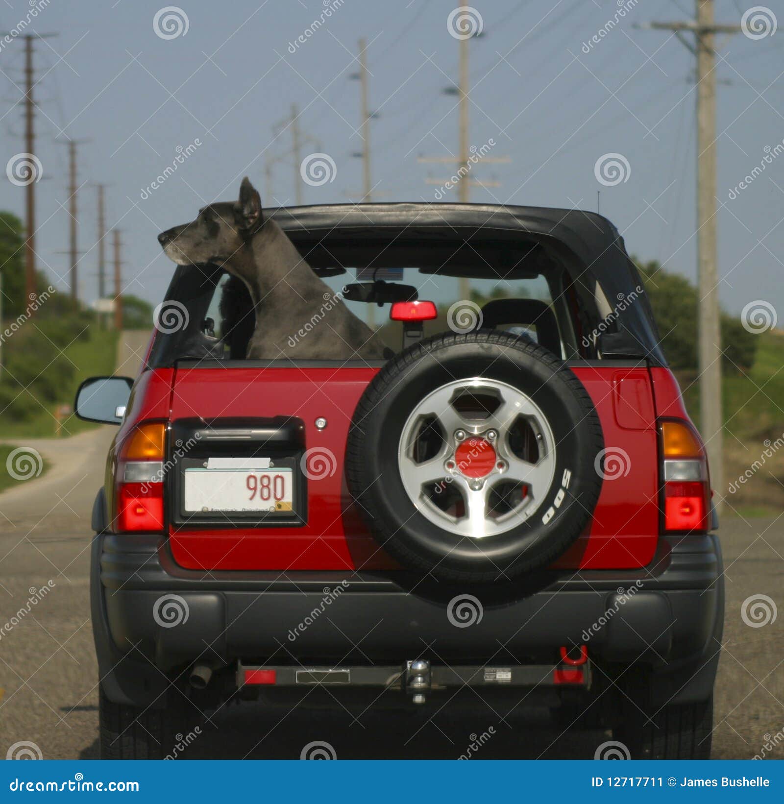 Perro negro en coche rojo imagen de archivo. Imagen de grande - 12717711