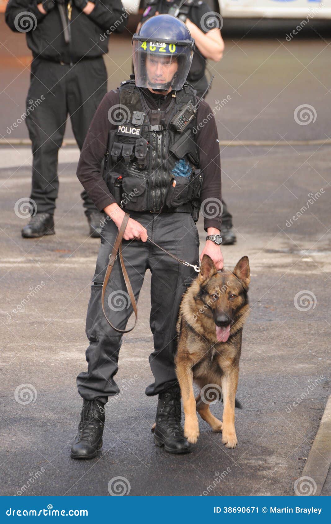 Perro policía en acción foto editorial. Imagen de alsaciano - 38690671, image size:1067x1690