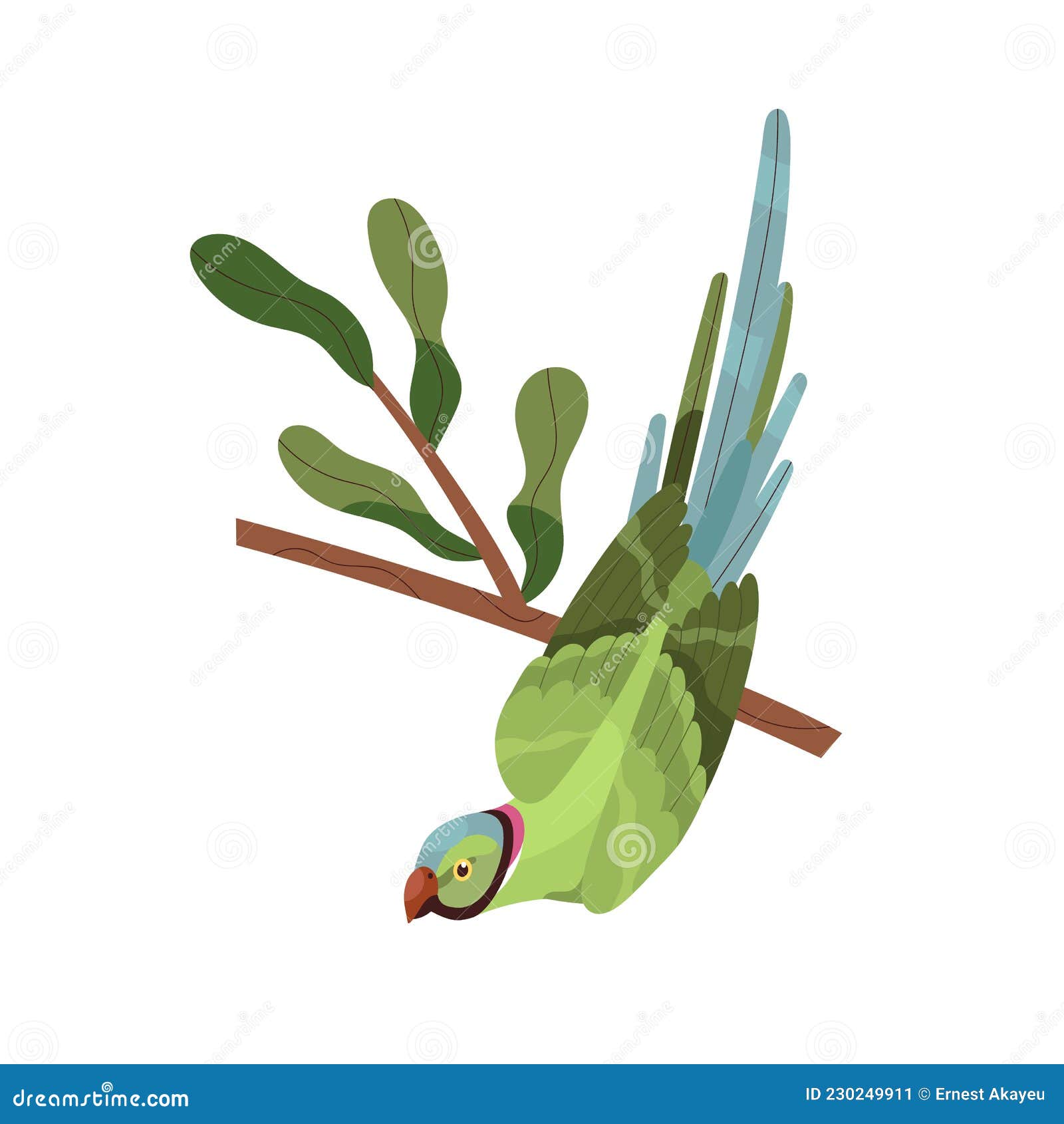 Perroquet Loriina Volant Aux Ailes Déployées. Loriquet Arc-en-ciel Tropical  à Longue Queue. Oiseau Exotique Aux Plumes Multicolores. Illustration De  Vecteur De Dessin Animé Plat Réaliste Isolé Sur Fond Blanc.