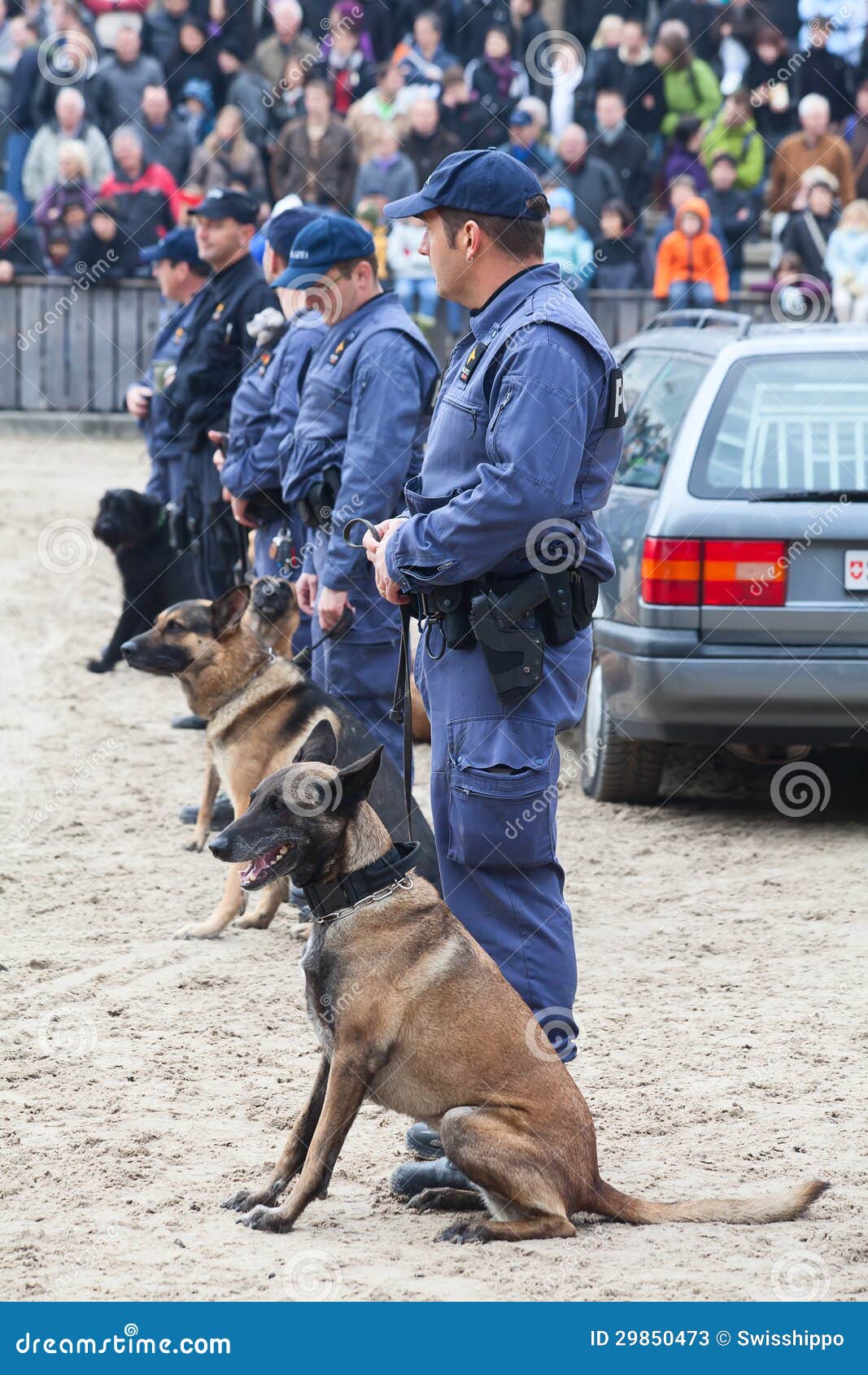 Perros policía en acción foto de archivo editorial. Imagen de rescate -  29850473, image size:1067x1690