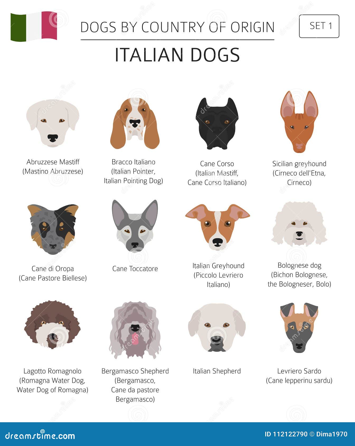 Perros Por El País De Origen Razas Italianas Del Perro Templ De Infographic del Vector - Ilustración de perro, enmascaramiento: 112122790