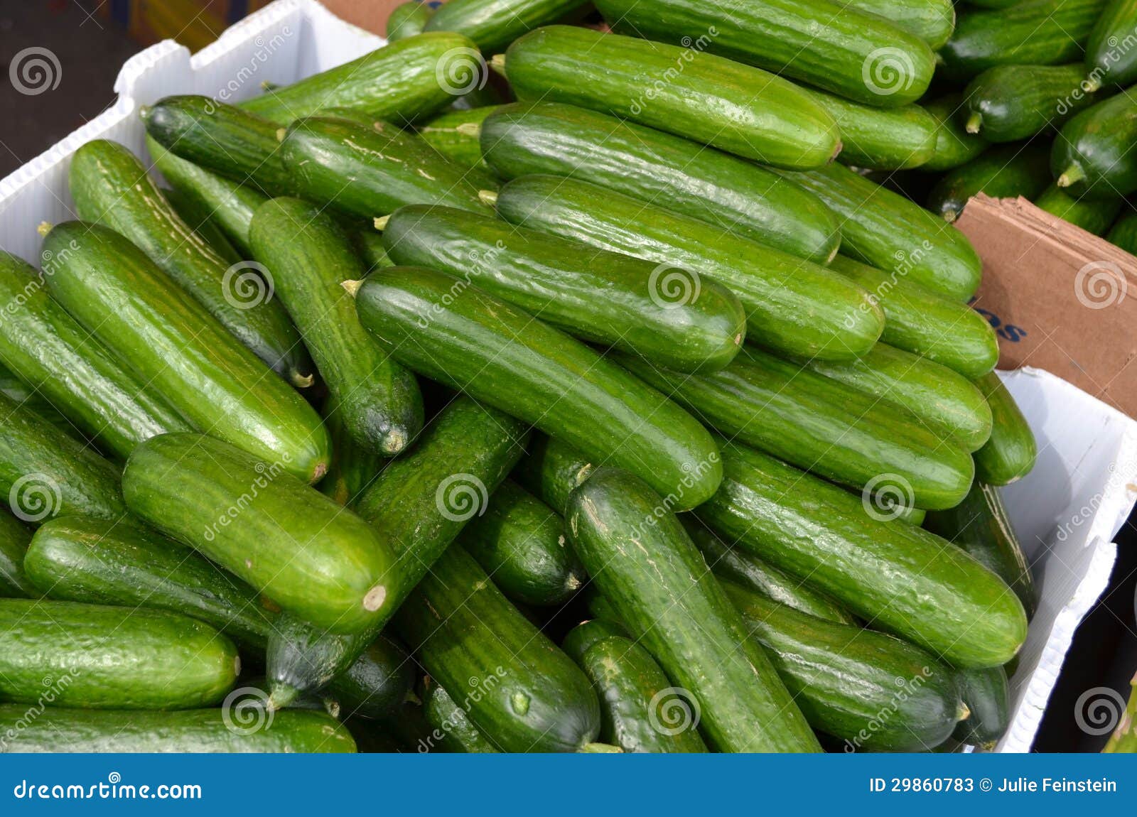 persian cucumbers