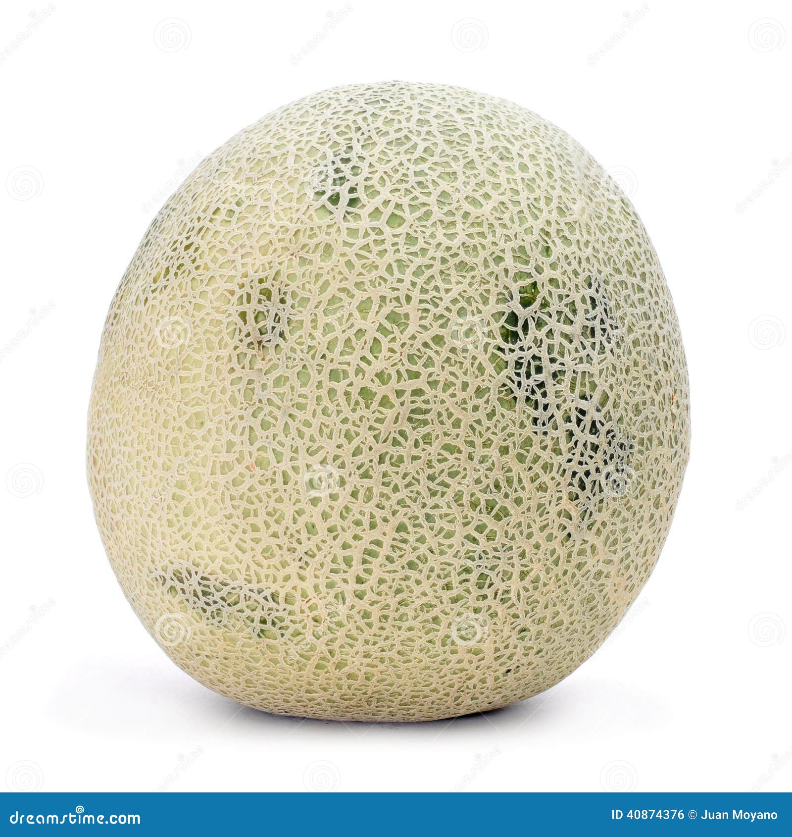 Persian melon stock photo. Image of mushmelon, dessert 40874376