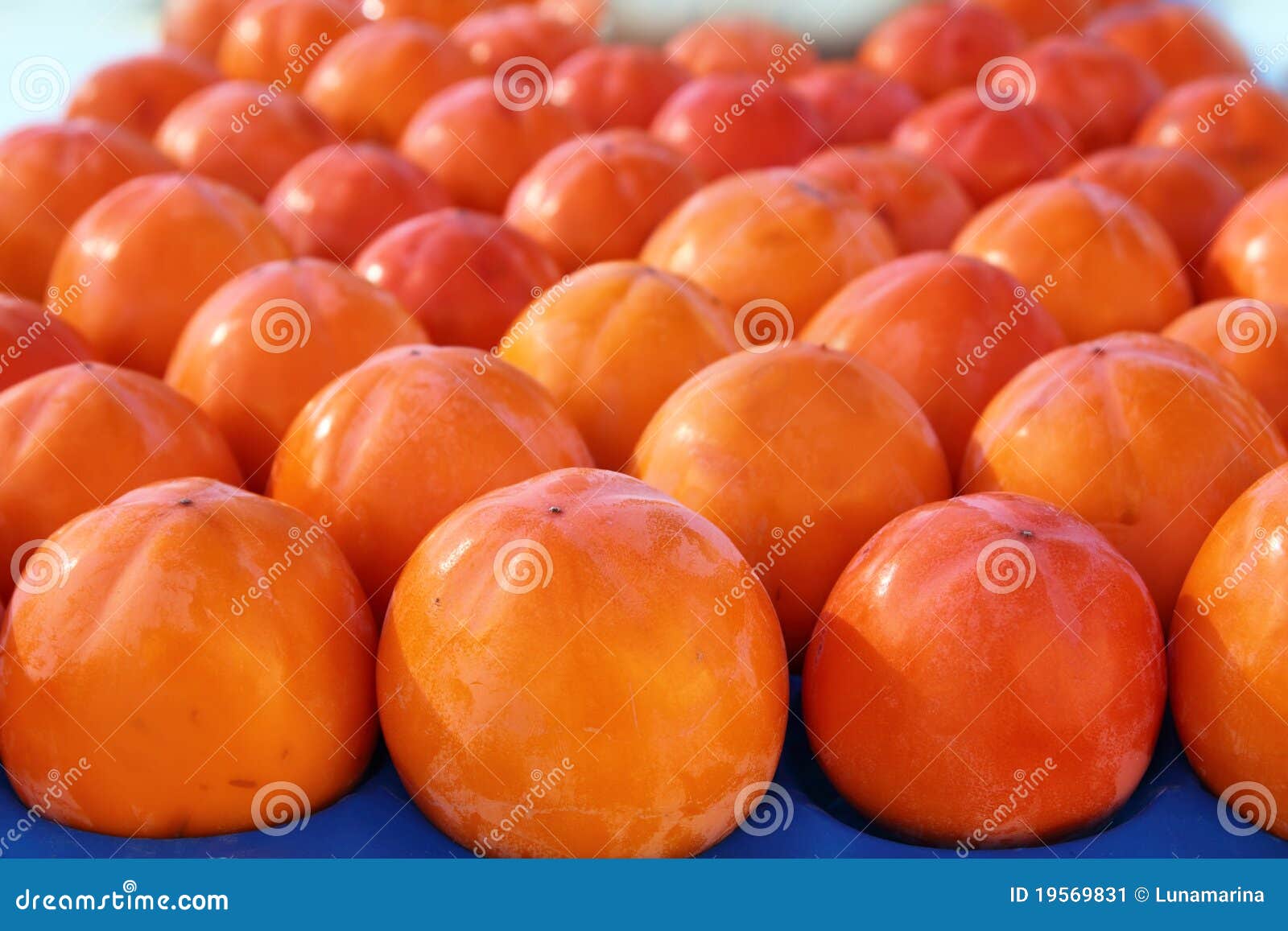 persimon fruits pattern in rows arrangement fruit