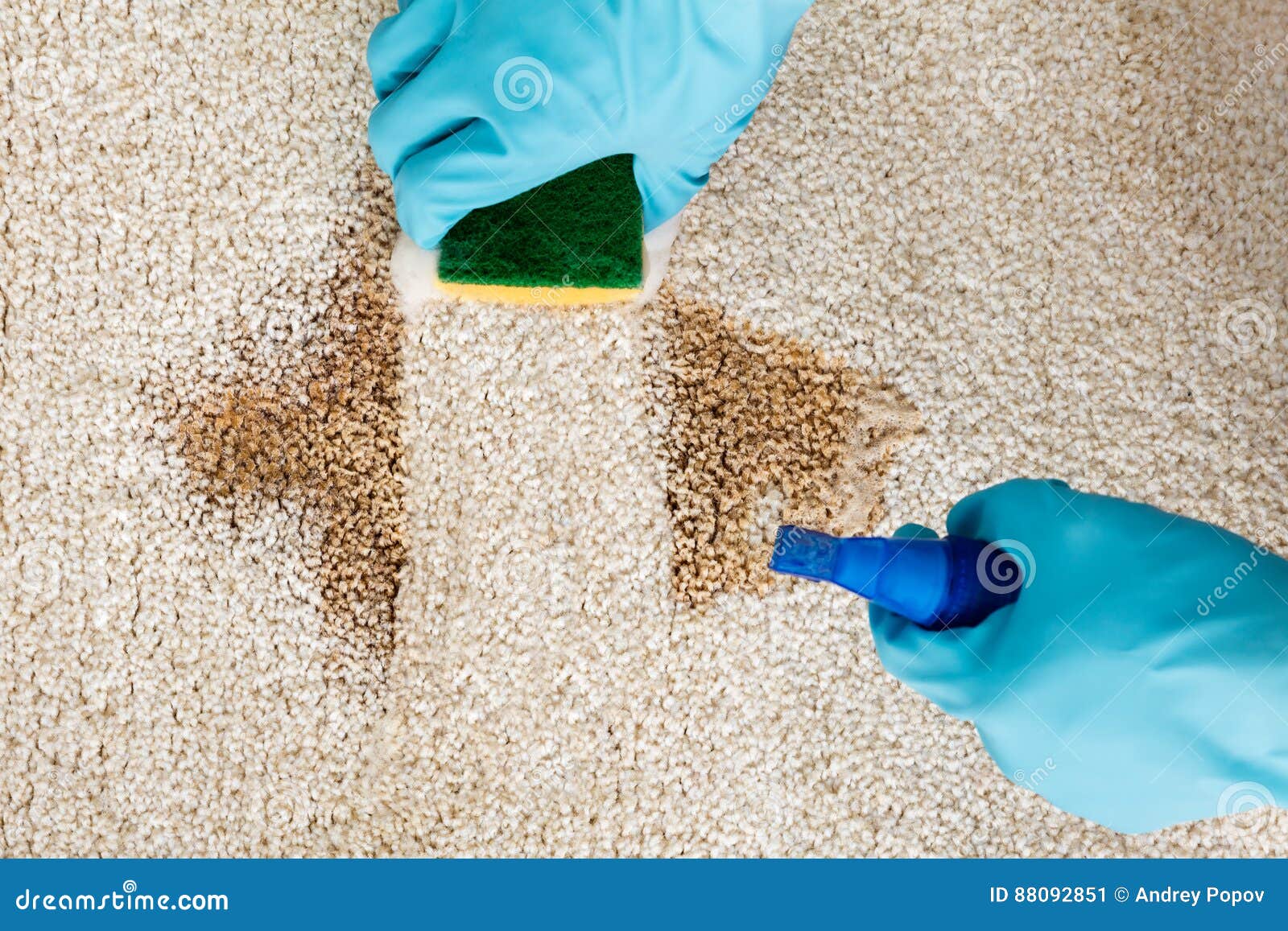 person cleaning stain with sponge on carpet