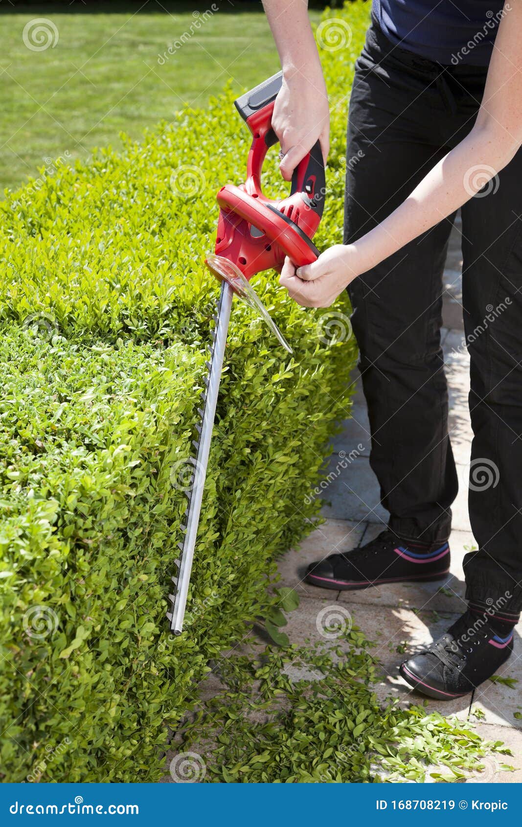 Hedge trimmer stock image. Image of person, machine 168708219