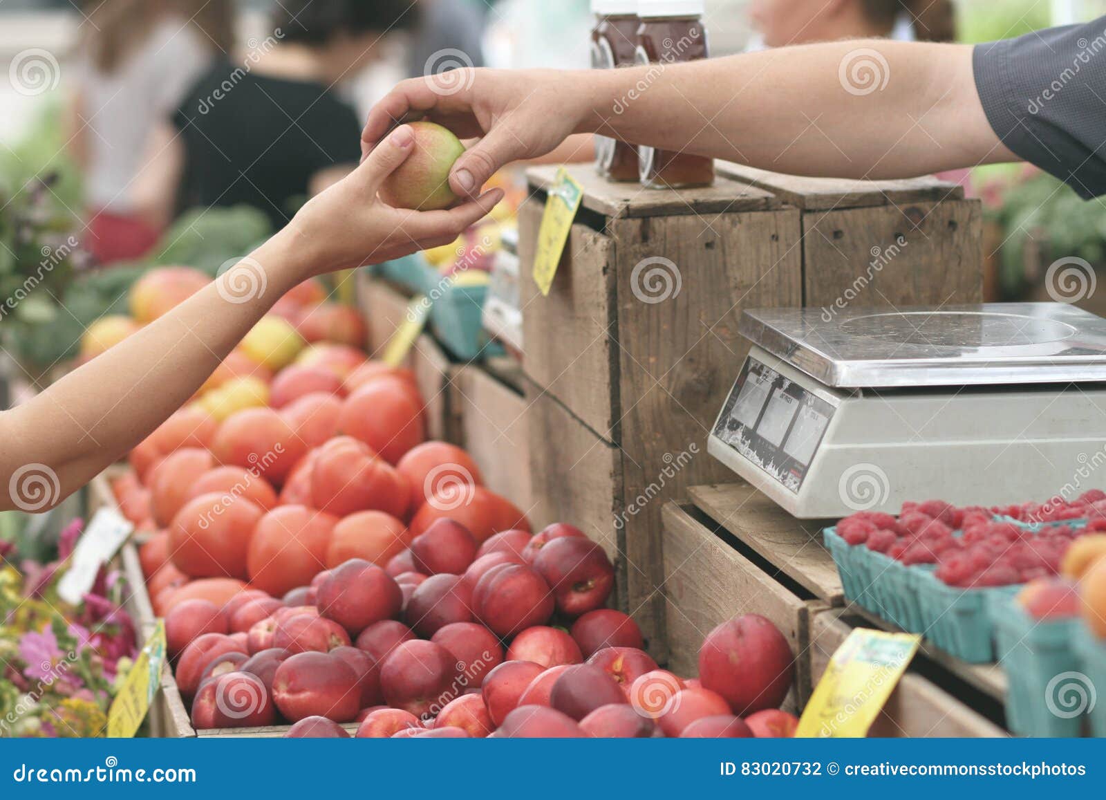 Person Giving Fruit To Another Picture. Image 83020732