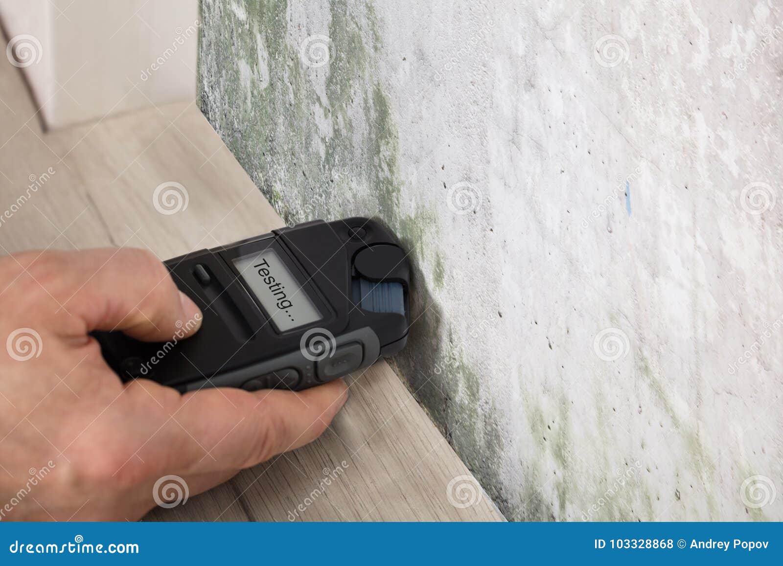 person hand testing the moldy wall