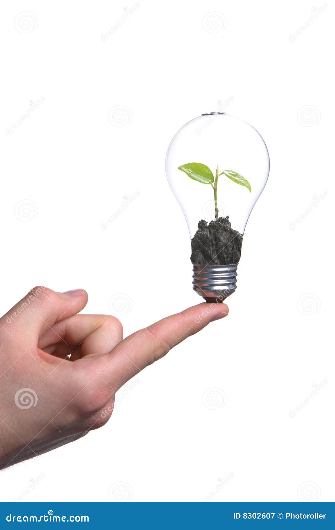iPerson Holdingi A Green Light Bulb Stock Image Image 8302607 iPerson Holdingi A Green Light Bulb Stock Image Image 8302607