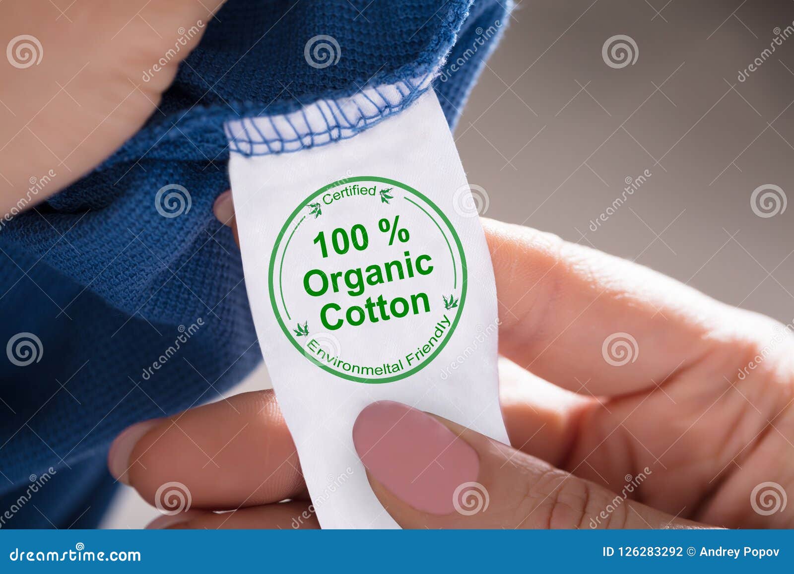Person Holding Label Showing 100 Percent Organic Cotton Stock Photo ...