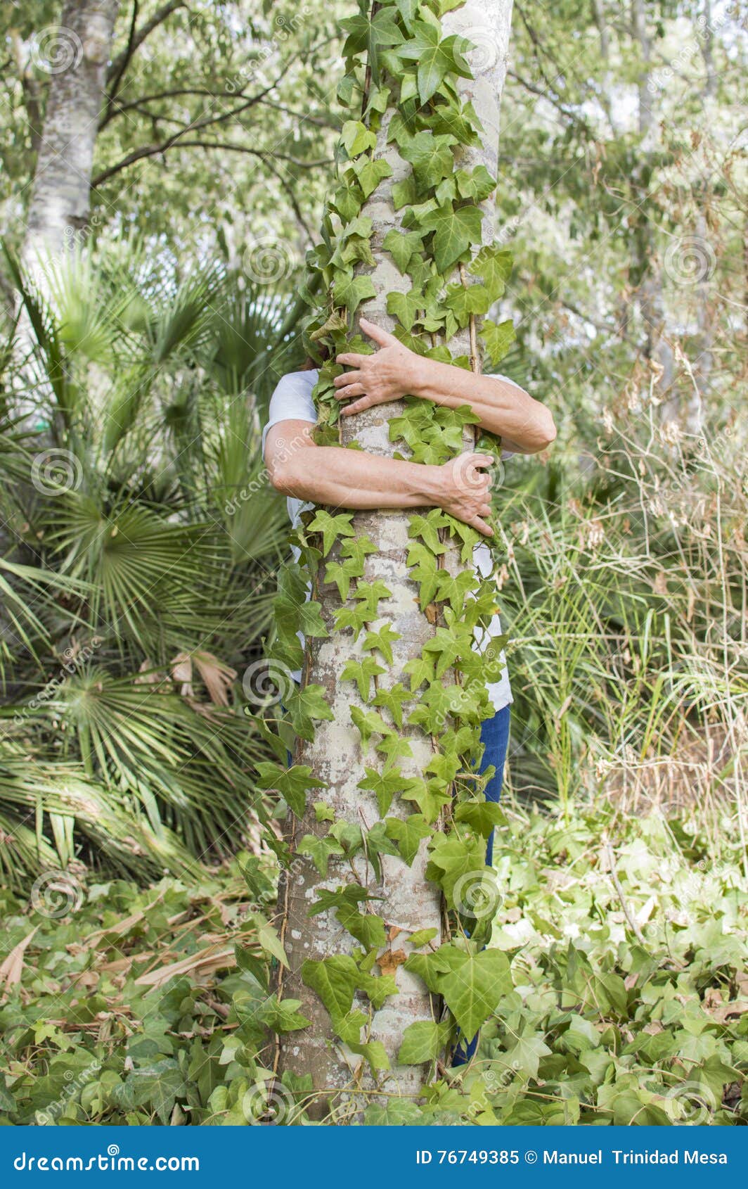 Person hugging tree stock image. Image of hugging, forest - 76749385