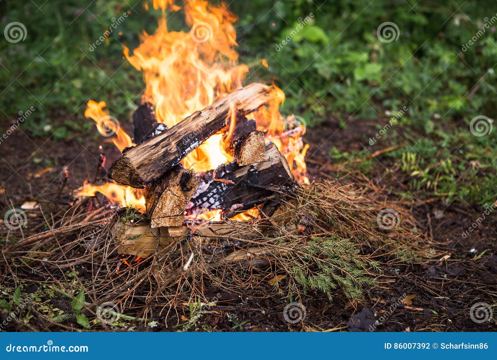 Person Kindles Fire in the Forest. Stock Photo - Image of hands, logger ...
