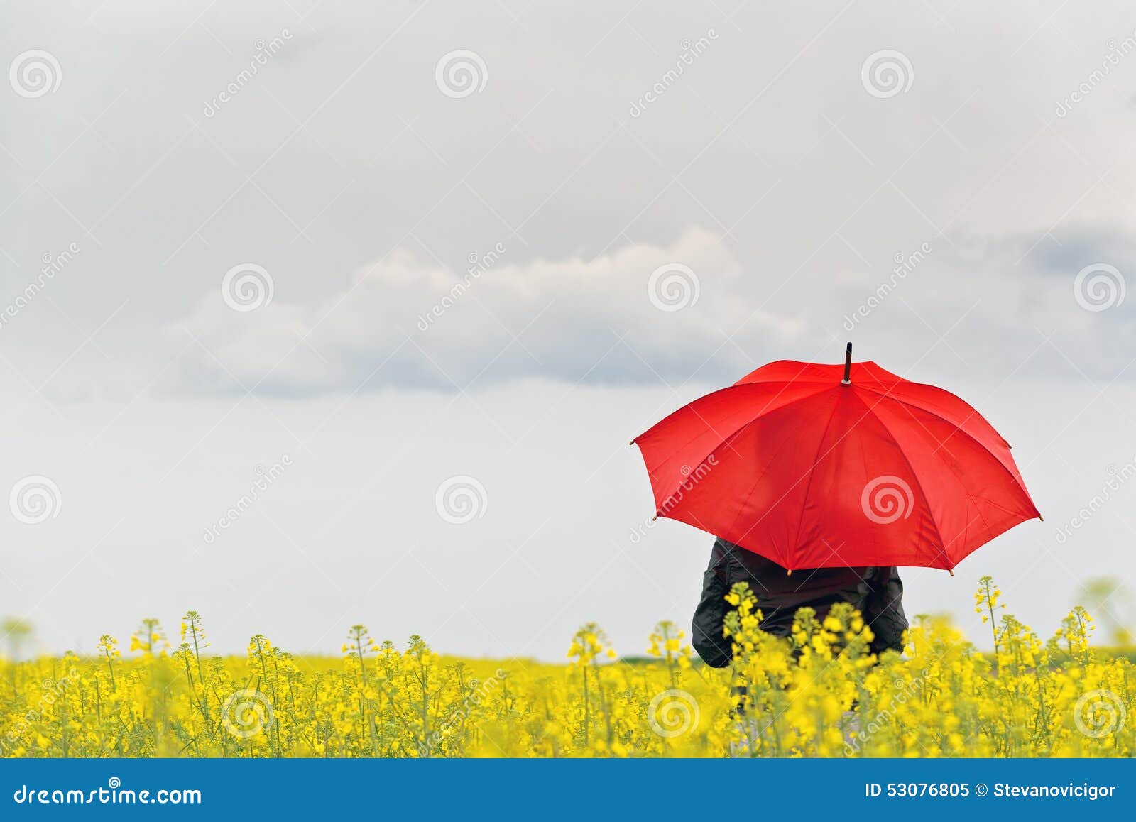 person with red umbrella standing in oilseed rapeseed agricultura