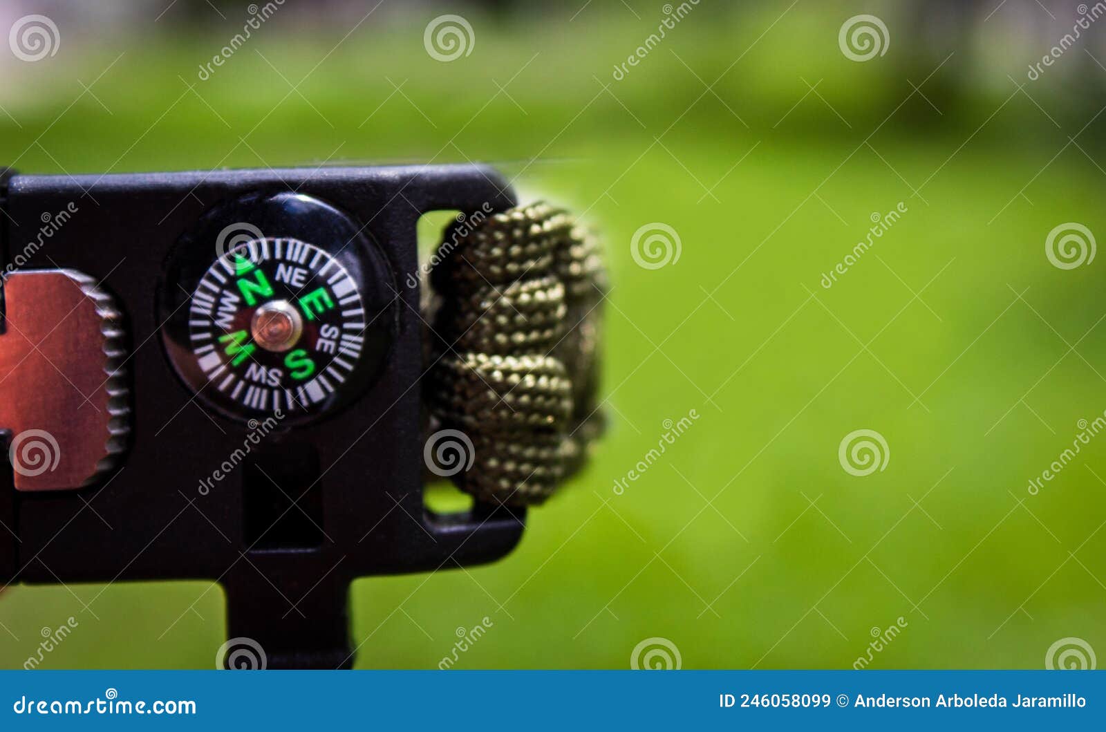 person's hand with compass in the forest