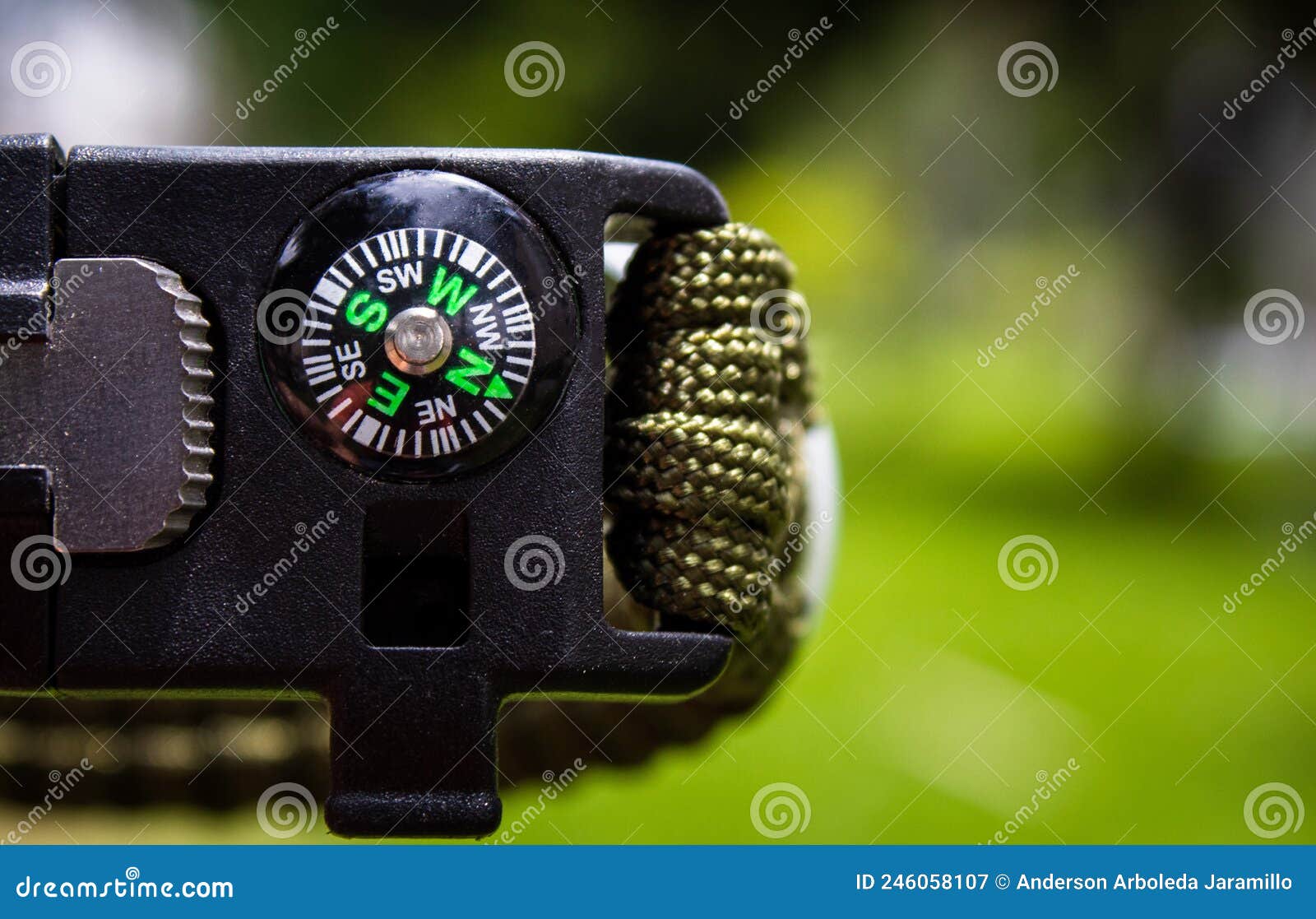 person's hand with compass in the forest