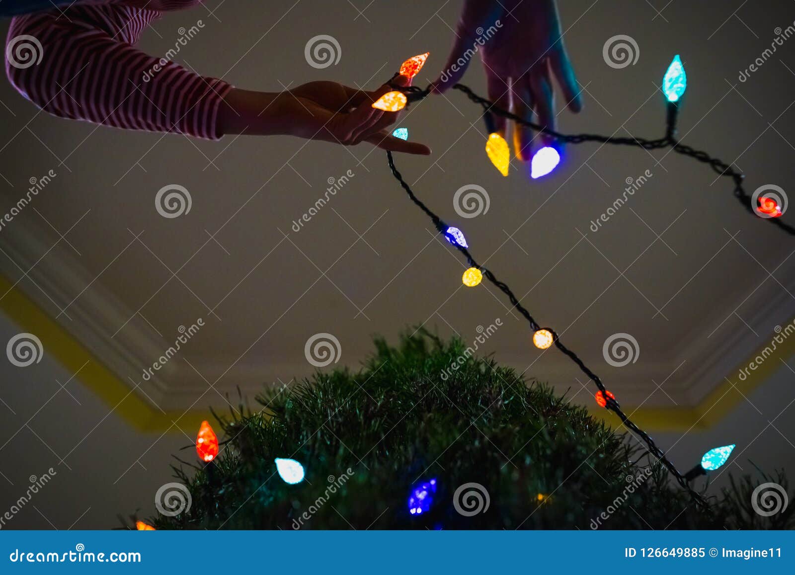person stringing colored christmas lights around the tree