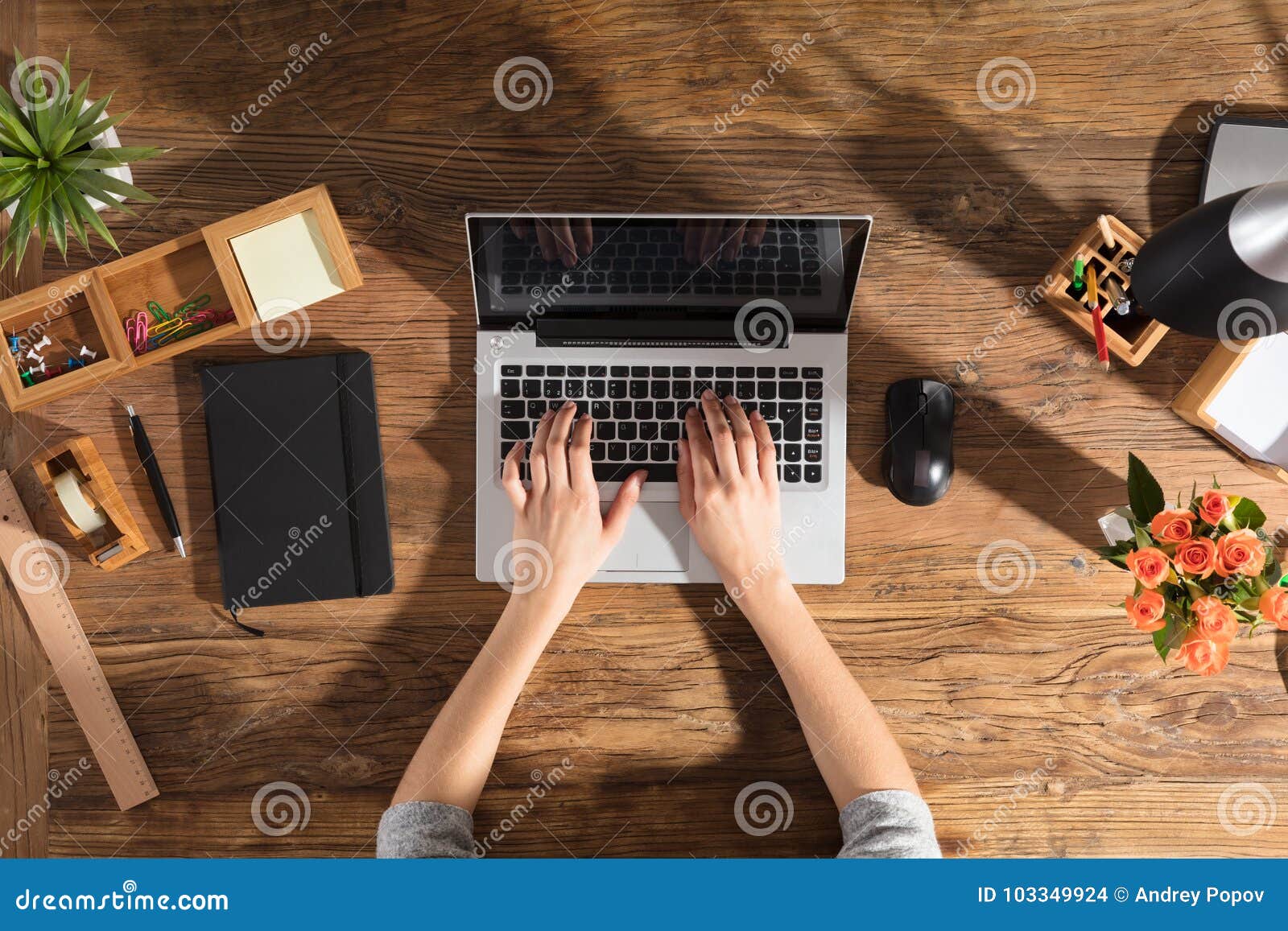 person using laptop computer