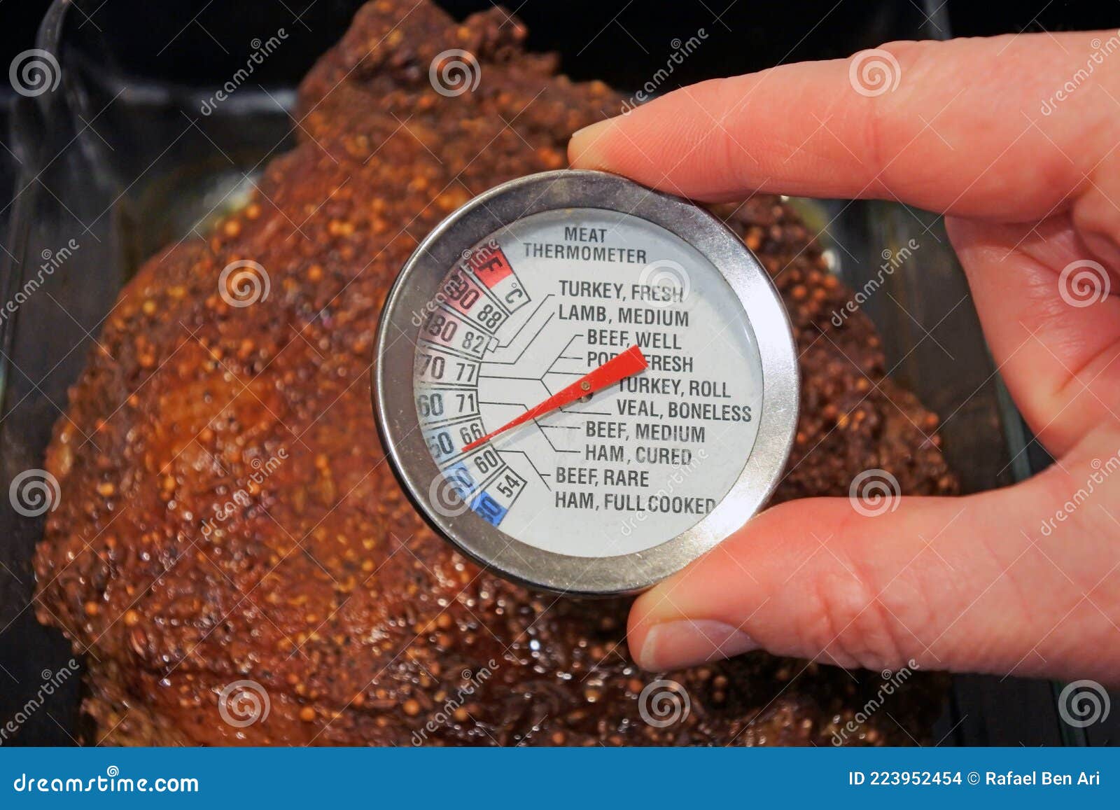 https://thumbs.dreamstime.com/z/person-using-temperature-gauge-tester-meter-food-thermometer-female-hand-roasted-lamb-home-oven-223952454.jpg