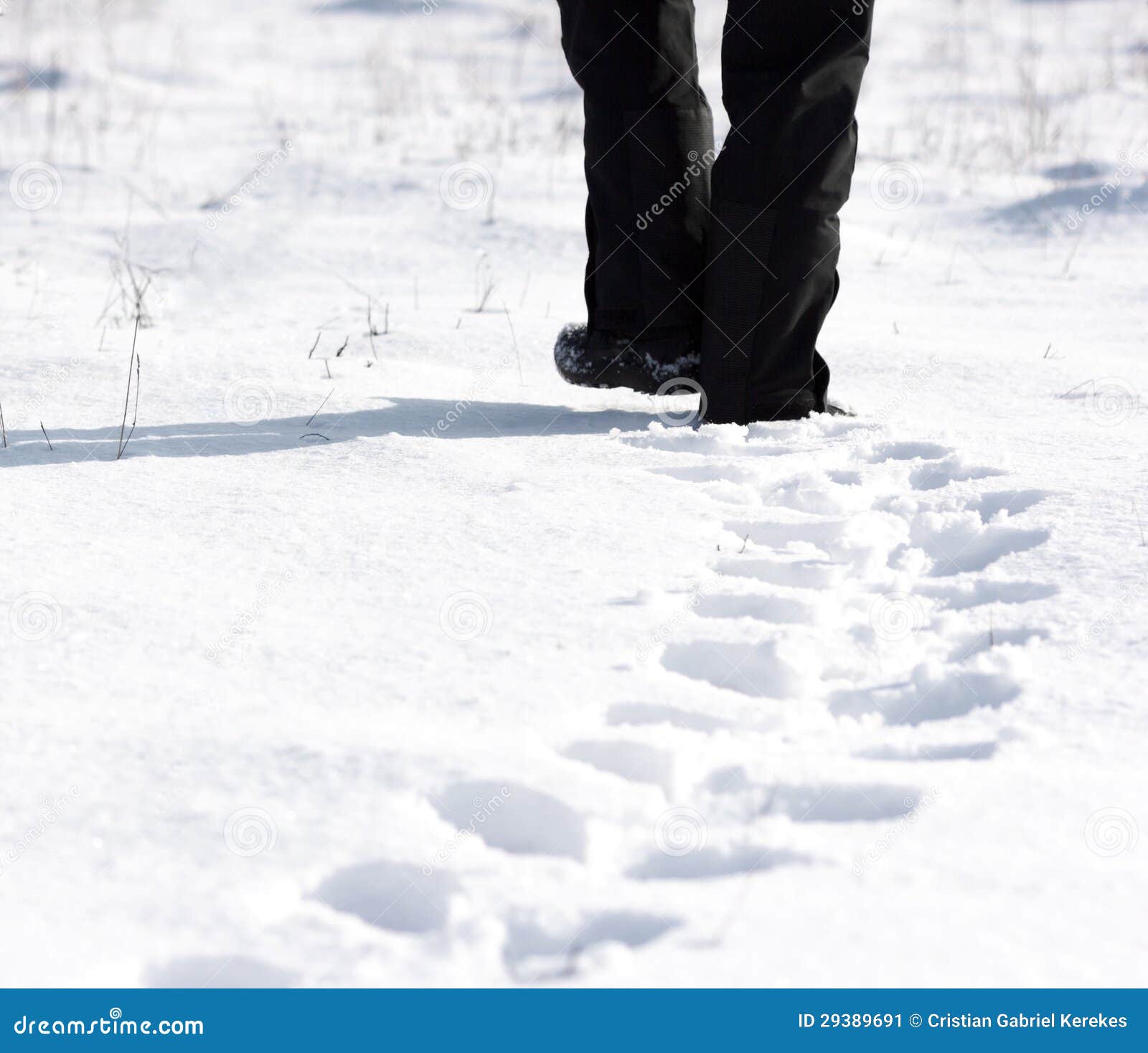 Person Walking in the Snow and Leaving Footprints Stock Image Image