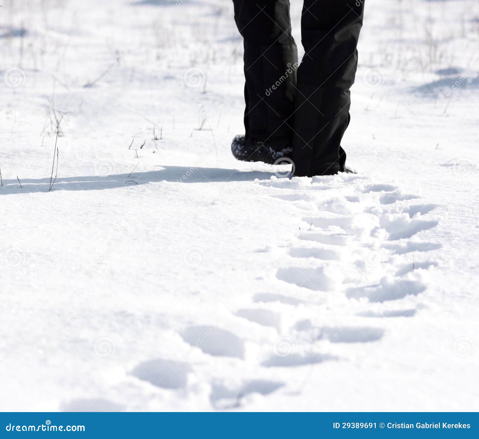 Walking snow rum перевод. Шаги на снегу. Человек идет по снегу. Иду по снегу. Следы человека на снегу.