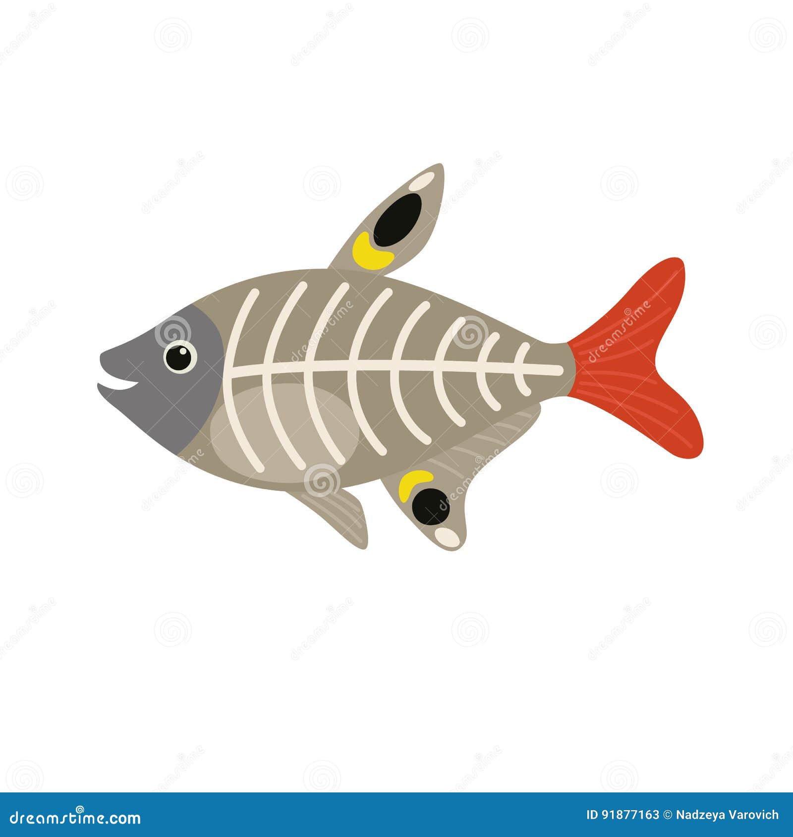 Personaje De Dibujos Animados Del Animal De Los Pescados De La Radiografía Stock de ilustración - Ilustración de esqueleto, océano: 91877163 Personaje De Dibujos Animados Del Animal De Los Pescados De La Radiografía Stock de ilustración - Ilustración de esqueleto, océano: 91877163