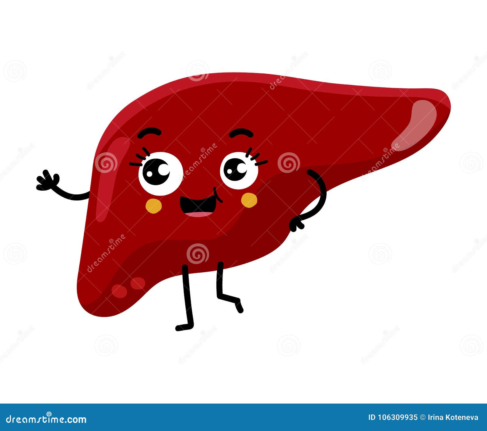 Personaje De Dibujos Animados Lindo Del Hígado Humano Ilustración del  Vector - Ilustración de cuidado, ciencia: 106309935