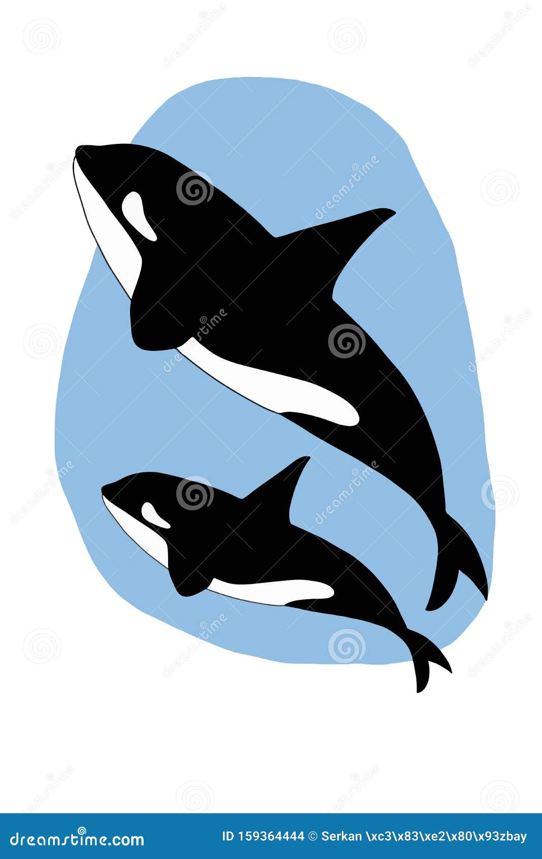 Personajes De Caricatura Dibujando Ilustraciones De Orcas Asesinas Stock de  ilustración - Ilustración de caracteres, colorante: 159364444