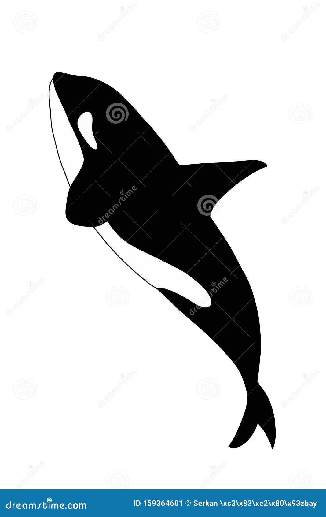 Personajes De Caricatura Dibujando Ilustraciones De Orcas Asesinas Stock de  ilustración - Ilustración de ballena, pescados: 159364601